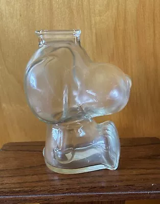 Vintage Snoopy Coin Bank 1960's Clear Glass Peanuts  6” • $12.69