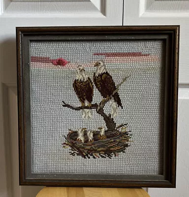 Vintage Needlepoint Bald Eagle Pair Nest 3 Chicks Rustic Framed 16.5  X 16.5  • $14