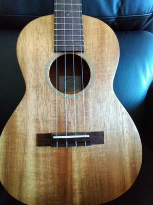 $600 • Buy Martin Tenor Ukulele T1K