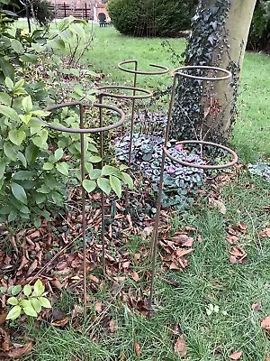 £30 • Buy 🇬🇧set Of 5 Rusty Metal Garden Plant Supports Holders / Stakes - Steel 🌷🍂🌿