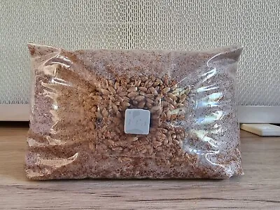 All In One Mushroom Grow Kit**Masters Mix** 5lb - 2.3kg - Lions Mane & Oyster • £22.99