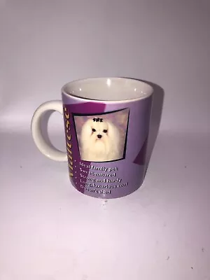 Maltese Dog Coffee Mug Tea Cup Purple Ideal Family Pet Sweet Natured Strong EUC • $14.99