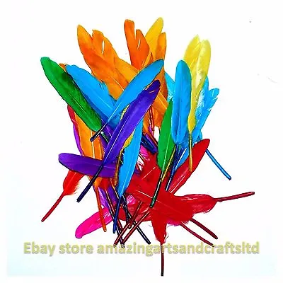 Creation Station Quill Feathers Assorted Colours • £3.25