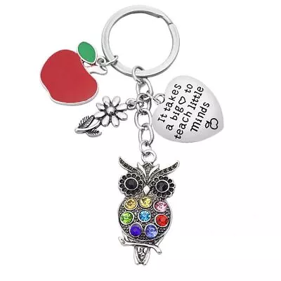 Appreciation Stainless Steel Jewelry Teacher Keychain Gift For Teacher Keyring • $12.69