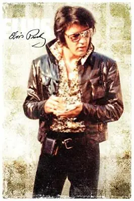 Elvis Presley Cool Art Print Poster 24x36 • $13.49