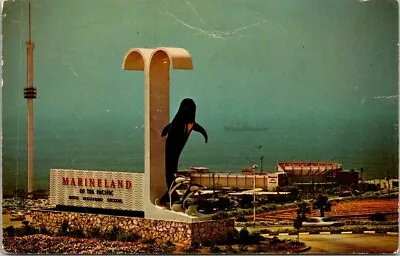 Postcard Marineland San Pedro California • $4.75