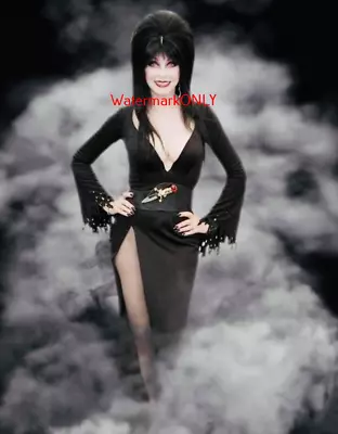 Cassandra Peterson  Elvira   Mistress Of The Dark  SEXY   Pin-Up  PHOTO! #(240) • $9.99