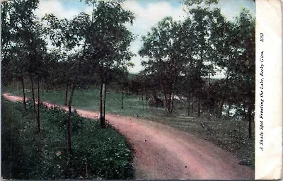 1907 MOOSIC Rocky Glen Park Trail Lackawanna Pennsylvania Postcard DA • $8.49