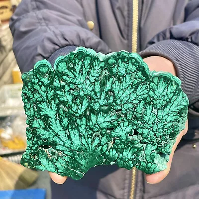 467G Natural Malachite Slice Quartz Crystal Luster Mineral Specimen • $0.99