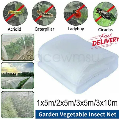 Garden Protect Netting Vegetable/Crop Plant Fine Mesh Bird/Insect Protection Net • £15.99