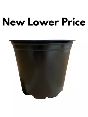 100 X 1 Litre / 13 Cm Plant Pots  • £13.99