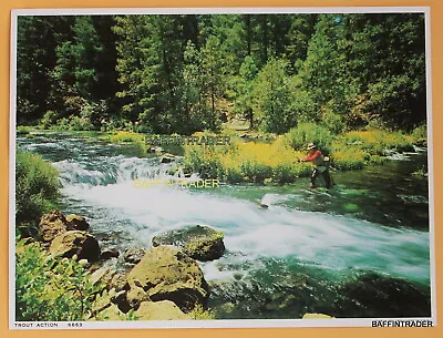 Vintage Fishing Calendar Salesman Sample Litho Print 8  X 6  Trout Action • $4.33