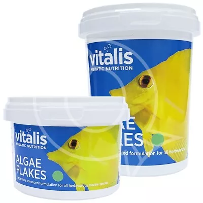 VITALIS MARINE ALGAE LARGE FLAKES 22g 40g 250g FISH FOOD CORAL REEF AQUARIUM • £4.99