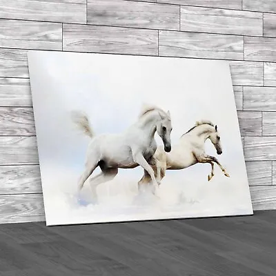 Snowy Horse Running Captivating Imagery Original Canvas Print Large Picture • £21.95