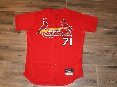 Carlos Soto St. Louis Cardinals Game Used MLB Baseball Nike Authentic Jersey 48 • $37