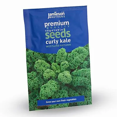 Curly Kale Blue Scotch Vegetable Seeds (Approx. 155 Seeds) By Jamieson Brothers • £2.79