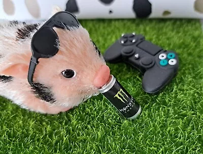 Micro Piglet Silicone Pig PlayStation/Shades/Monster Accessories Bundle(No Pig) • £8.95