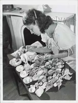 1946 Press Photo Violinist Dorothy Averell With Her Seashell Collection • $19.99