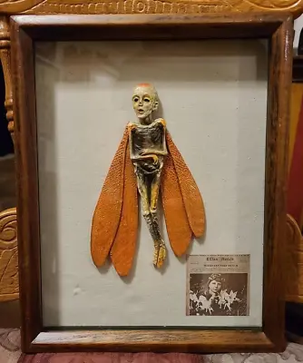 Vintage Mummified Dead Fairy In Glass Shadow Box Bizarre • $79