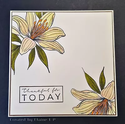 Handmade Card 7x7 Inch Thankful For Today Floral • £4.59