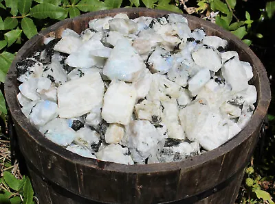 1 Lb Bulk Lot Natural Rough Rainbow Moonstone Crystals (Raw Reiki Rocks 16 Oz) • $17.35