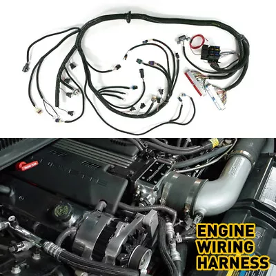 For Corvette / Cts-v  Ls1 / Ls6 Engines  1997 - 2004 Stand Alone Wiring Harness • $100.99