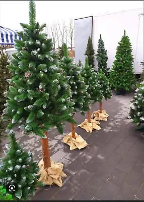 £30 • Buy Diamond Artificial Christmas Tree On Real Pine Trunk