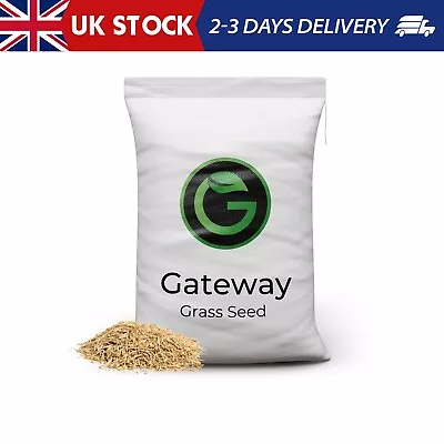Horse Paddock Grass Seeds - Fast Growing Grass Seed For Repairs On Pastures Fie • £33.99