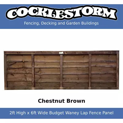 2ft High X 6ft Wide Chestnut Brown Fence Panel - Free Delivery Within 60 Miles • £20