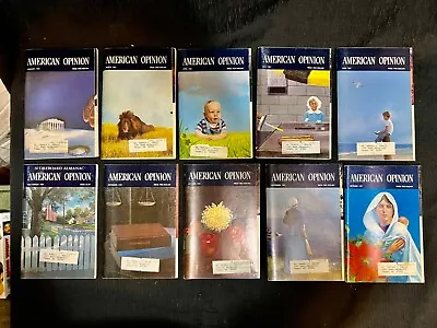 AMERICAN OPINION MAGAZINE 1981 Lot Of Ten Including Binder Very Nice Condition • $20