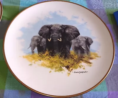 Wedgwood David Shepherd Elephant Plate 27cm • £10