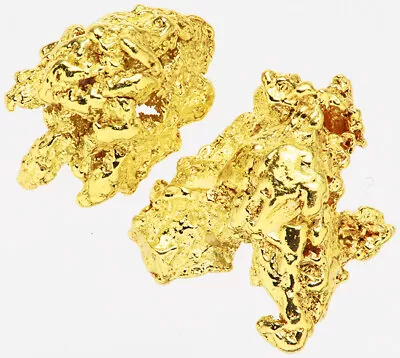 0.3042 Gram Alaska Natural Gold Nuggets - (#76342) - 2pcs Alaskan Gold Nuggets • $0.01