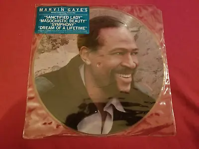 Marvin Gaye Sanctified Lady Very Rare New  Special Limited Edition Picture Disc • $84.99