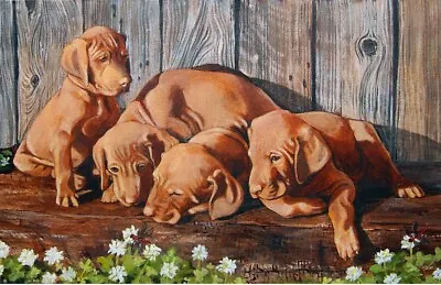 Vizsla Puppies A Limited-Edition Print Dragonfly • $68
