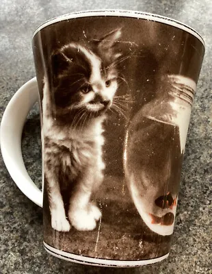 £4 • Buy Past Times A Very Fine Cat Fish Bowl Mug