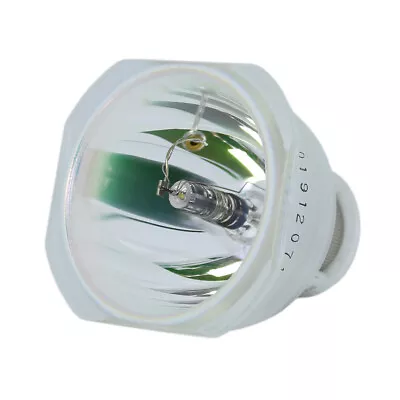 Original Osram Ushio VIPA-000100 Replacement Lamp & Housing For Vidikron • $82.99