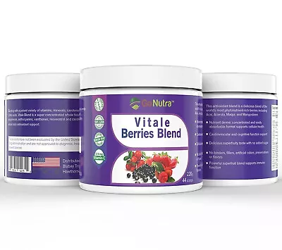 Berries Blend Superfood Smoothie Powder Mix Acai Maqui Goji & More 8oz Smoothies • $23.76