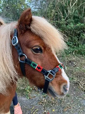 Mini Shetland Leather Head Collar Polo All Multi Colours Available • £20