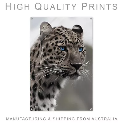 Leopard Poster Wild Life High Quality Acrylic Print 600x900mm Perfect Gift • $249.90