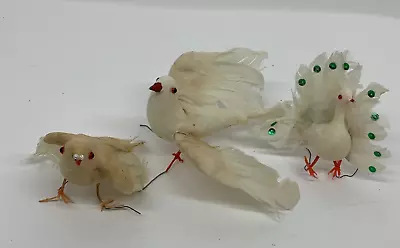 Vintage Christmas Decorations Feathered Birds X 3 White Dove Peacock Standing • $20