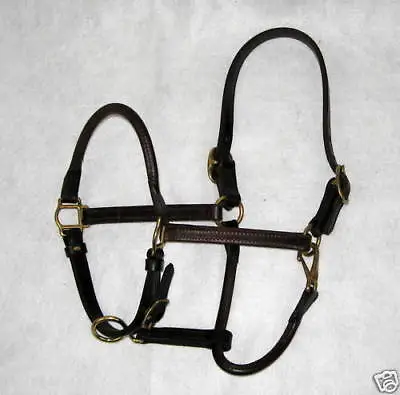 NEW Rolled Nose Leather Halter 3/4  COB Or HORSE Size Brown Or Black With Snap • $76.95