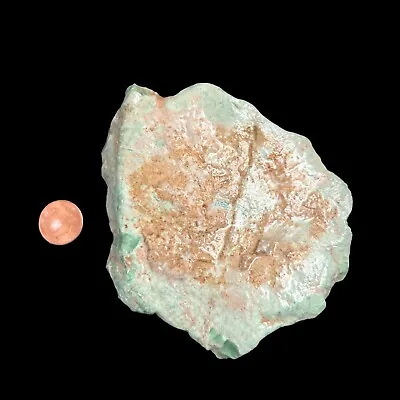 Variscite  Lucin Utah Rough Natural Edison Bird Mine 350  Grams • $43.78