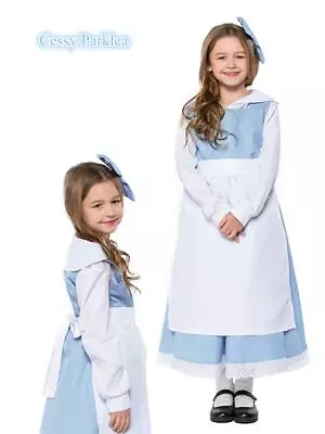 Beauty And The Beast Belle Blue Maid Girl Classic Village Dress Book Day Costume • $38