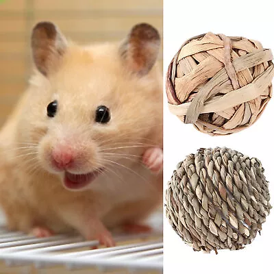 Pet Ball Toy Wear-resistant Easy To Carry Rabbit Hamster Ball Toy Chewing Toy • $8.26