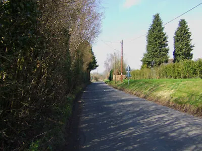 Photo 6x4 View From Markall Close Towards Raebarn Close Cheriton/SU5828  C2009 • $2.49