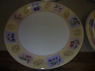Marks & Spencer Dinner Plate - Wild Fruits Collection In Good Used Condition 11  • £9.95