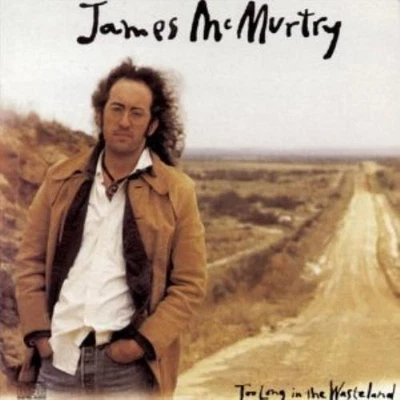 £12.98 • Buy James Mcmurtry : Too Long In The Wasteland CD Expertly Refurbished Product