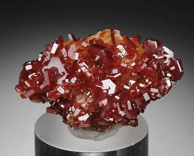 VANADINITE  -  Lustrous BLOOD-RED Crystals - MOROCCO /bo227 • $19.90