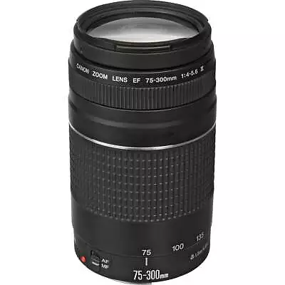 Canon EF 75-300 F/4-5.6 III • $289