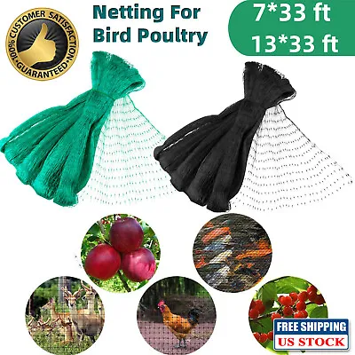 Garden Anti Bird Netting Pond Net Protection Crops Plants Fruits Mosquito Mesh • $7.95